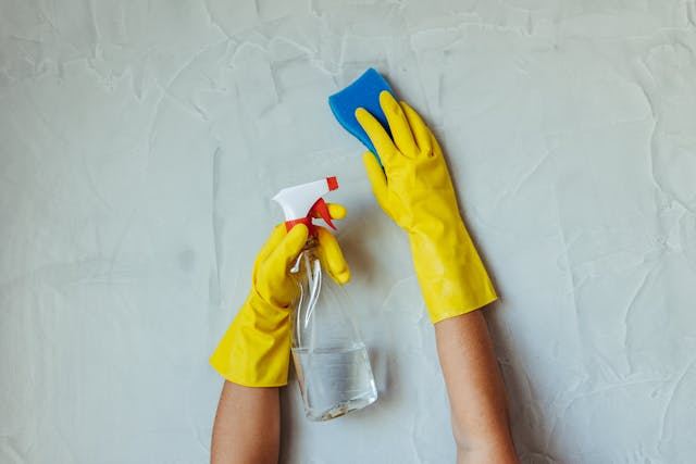 House Cleaning Service in Green Brook, NJ