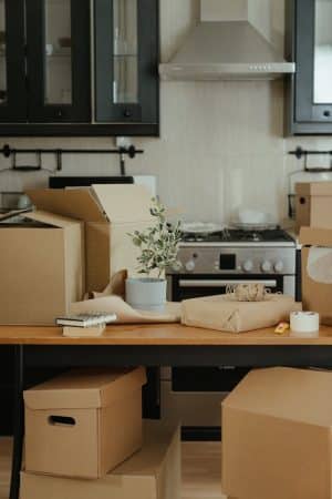 Move In/Out Cleaning Service