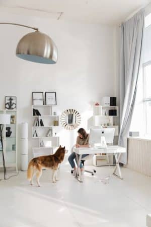 Deep Cleaning Game Plan for Pet Owners