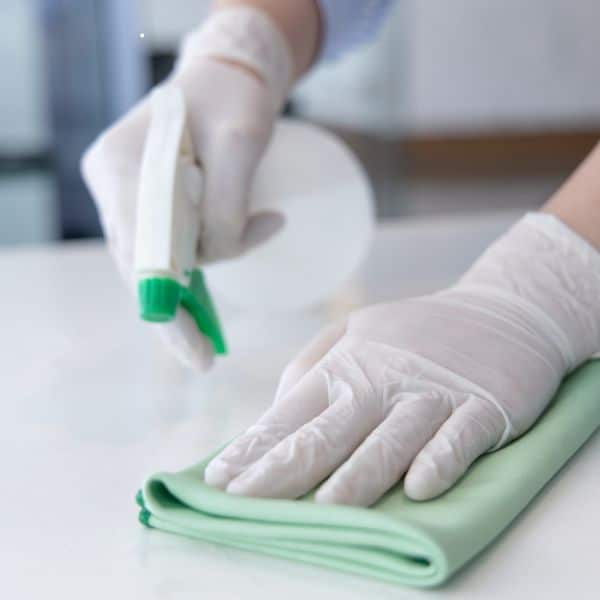Professional Maid Services in Warren, NJ