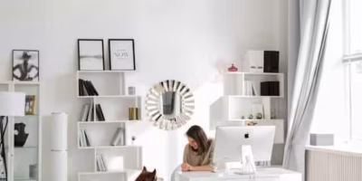 Deep Cleaning Game Plan for Pet Owners